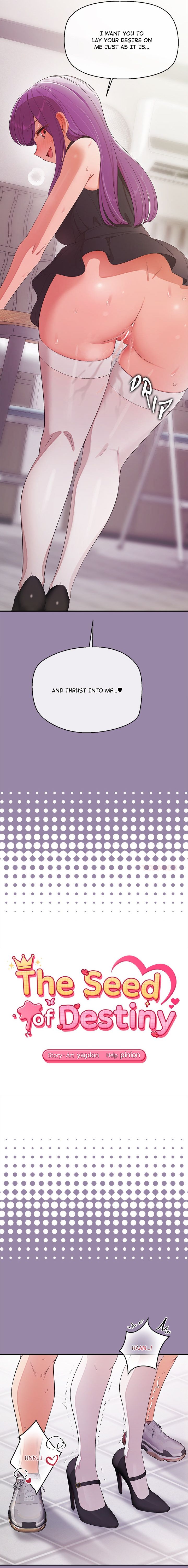 The Seed of Destiny - Chapter 23 Page 2