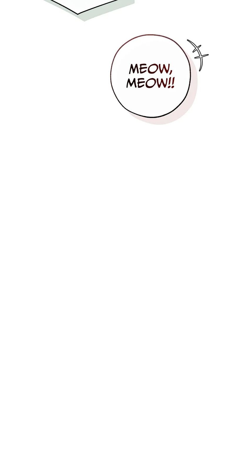 Trash of the Count