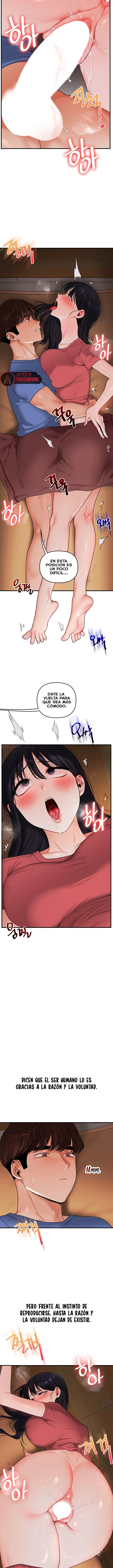 Relationship Reversal Button Raw - Chapter 117 Page 10