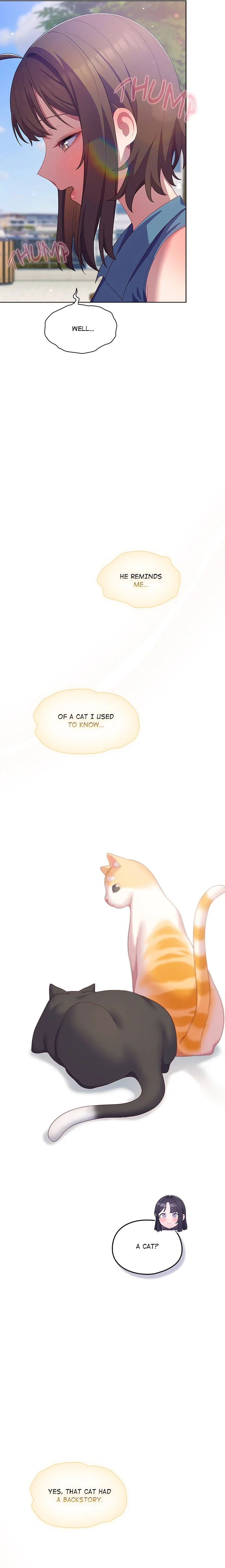 The Love Meowtchmaker - Chapter 19 Page 11