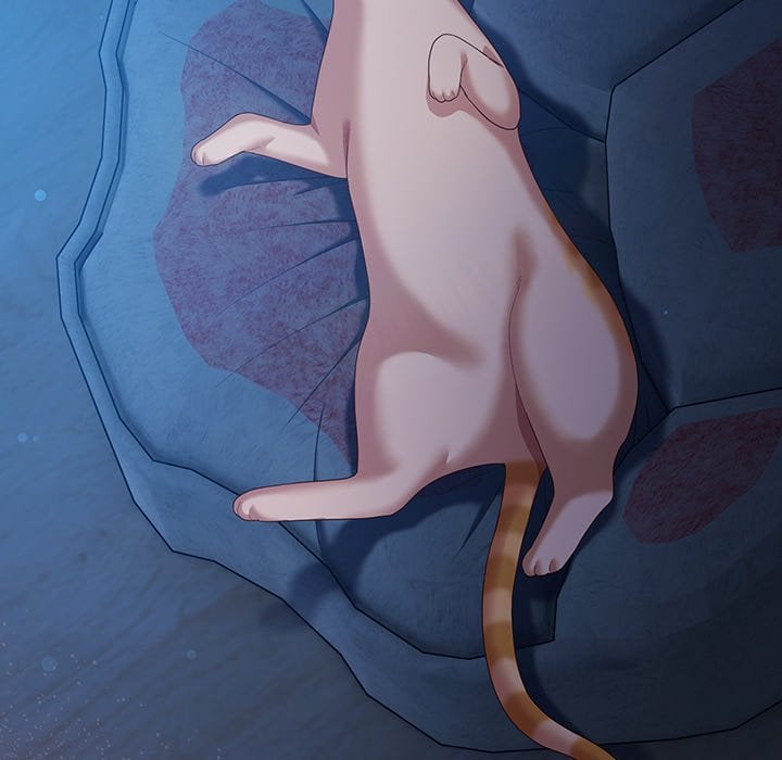 The Love Meowtchmaker - Chapter 27 Page 6